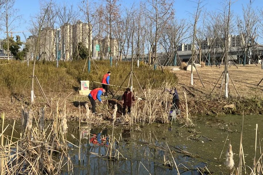 学雷锋 树新风│苏体实业开展“学雷锋”系列志愿服务活动（一）